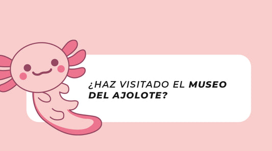 ¡Vamos al museo del ajolote!