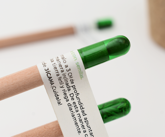 Ecological Pencil With Seeds